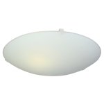 Eurolux Ceiling Light 250MM Plain Design C402