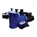 BLU52 Sunflo 2 0.75KW Pool Pump And Motor Quiet & Efficient