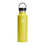 Standard Mouth 21 Oz 621 Ml Cactus