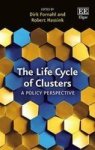 The Life Cycle Of Clusters - A Policy Perspective Hardcover