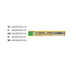 Pilot PPL3-HB 0.3MM Begreen Refill Lead 12 Pcs