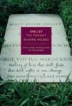 Shelley - The Pursuit Paperback New Ed