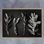 Monochrome Pins 4 Art Print - A2 Framed Canvas With Natural Wood Frame