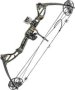 Rex Quad Limbs Compound Bow 20-65LB