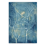 Botany Blue 12 Art Print - A1 No Frame Print Only