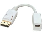 Displayport Male To Maleini Displayport Female