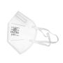 1PR Disposable Mask FFP2 10PC