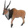 Giant Eland Antelope