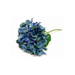 Hydrangea Seablue