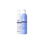 Silver Shine Whipped Bundle