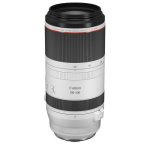Canon Rf 100-500MM F 4.5-7.1L Is Usm Lens RF100500