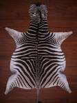 A Grade Zebra Hide 077 M