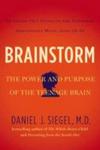 Brainstorm - The Power And Purpose Of The Teenage Brain Paperback