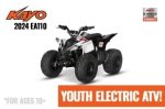EA110 1000W 48V Electric Quad 3 Speed Control