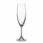 Bohemia Crystal Bohemia Champagne Sylvia 220ML Set Of 6