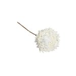 Chrysanthemum On Stem White 12X14X62CM