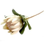 Opalescent Protea