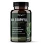 - Chlorophyll + Probiotics Internal Freshness & Digestion 60S