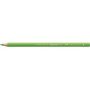 Faber-Castell Polychromos Pencil - 166 Grass Green Box Of 6