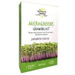 My Growing Health Japanese Radish Microgreen Kit