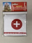 Nurse Hat