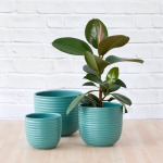 Poodle Planter - Teal Blue - 26CM