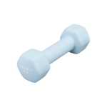 Usa Pro Dipping Dumbbell 2KG