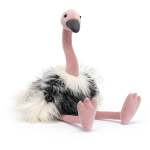 Ramonda Ostrich By