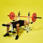 Pro Olympic Bumper Plate 25KG