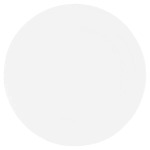 Eaton Coup White 10.5" 26.5CM Dinner Plate