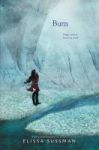 Burn Paperback