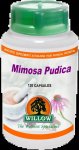 Willow - Mimosa Pudica 500MG 120 Capsules