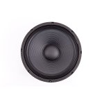 12" 250W Replacement Speaker Fts 12F250