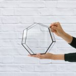 Wall Terrarium - Heptagon - Medium Excl. Plants