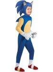 Sonic Costume