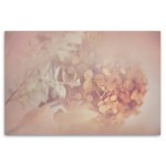 Blush Dreams 6 Art Print - A4 No Frame Print Only