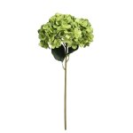 Hydrangea Green 70CM
