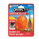 Dissect-it Discover-it Mystery Skeleton