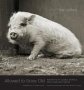 Allowed To Grow Old - Portraits Of Elderly Animals From Farm Sanctuaries   Hardcover