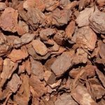 Reptile Resort Bark Chips – Large 5L
