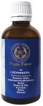 Echinacea Herbal Tincture
