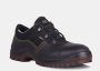 Dot Cobalt Safety Shoe - Black / 13
