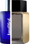 Calvin Klein - Euphoria Gold 4 Men Impression Amplified
