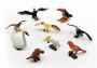 Assorted Birds In A Set - 9 Pieces