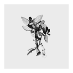 Bouquet Grey Art Print - A4 297 X 210MM