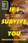 If I Survive You Paperback