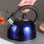 Stainless Steel Whistling Flat Bottom Kettle