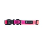 Ombre Dog Collars - Medium Lexi
