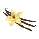 French Vanilla V2 Concentrate - 50ML