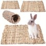 Pet Chew Mat Pad Pet House Cage Accessories For Hamster Rabbit Chinchilla Guinea Hamster Pet Products